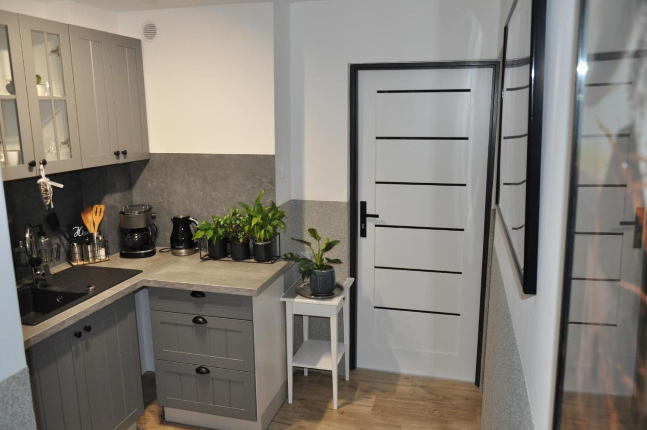 Willa Apart 19A Карпач Екстериор снимка